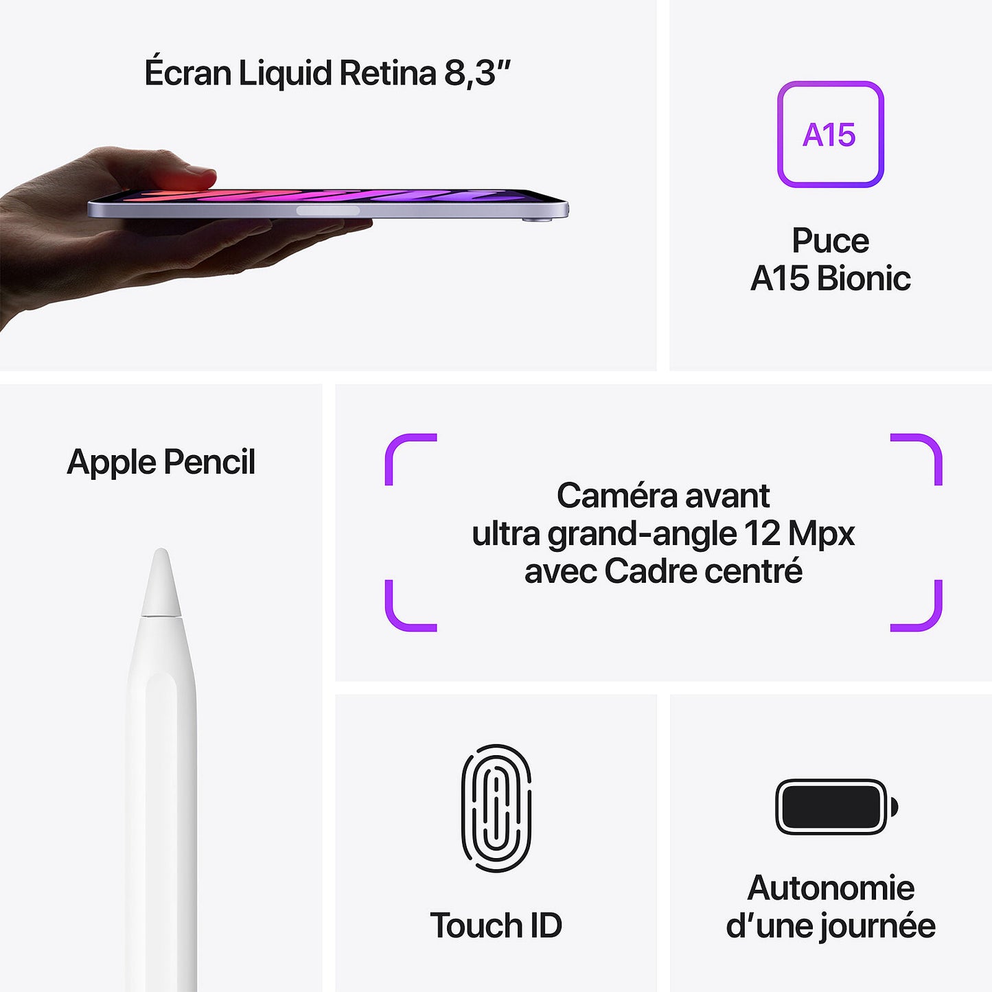 iPhone 11 de Tatamax | Usado Garantizado Hasta -50%