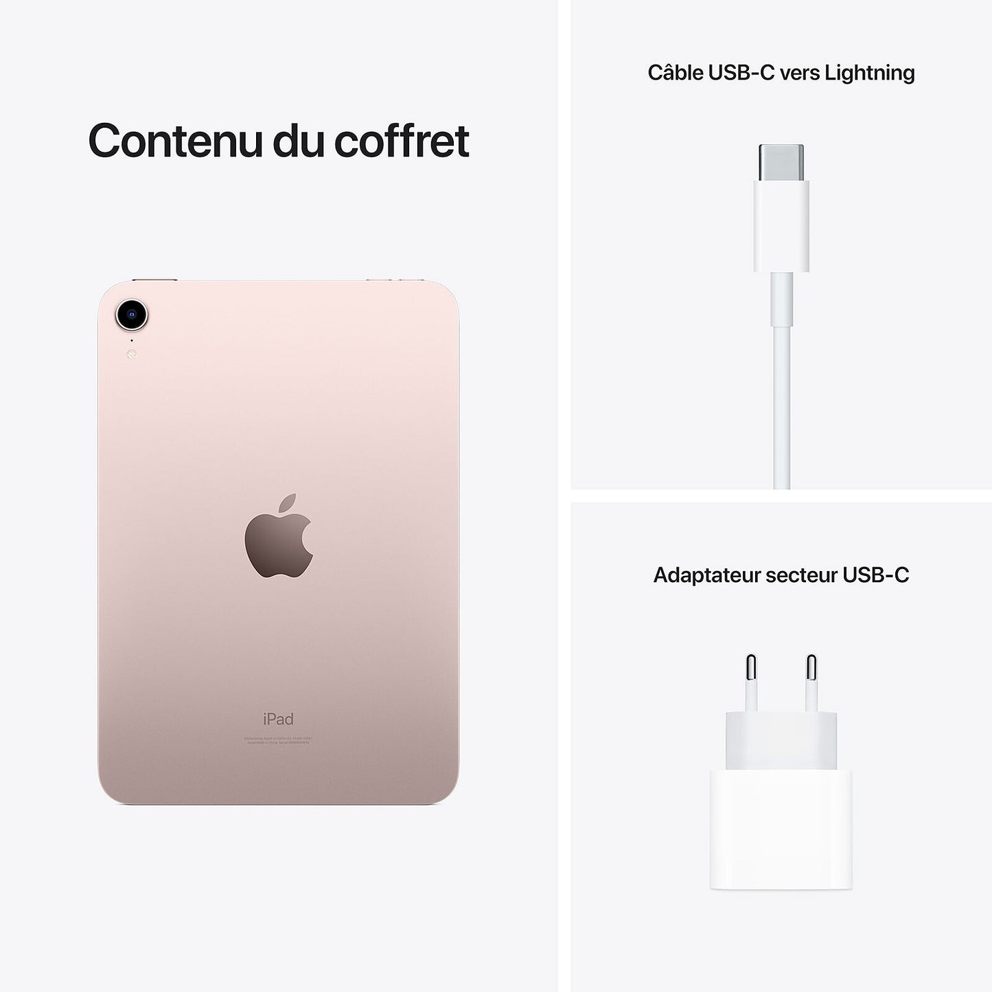 iPhone 11 de Tatamax | Usado Garantizado Hasta -50% 